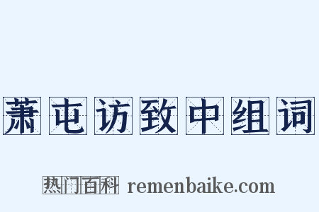 萧屯访致中组词是什么意思的图片